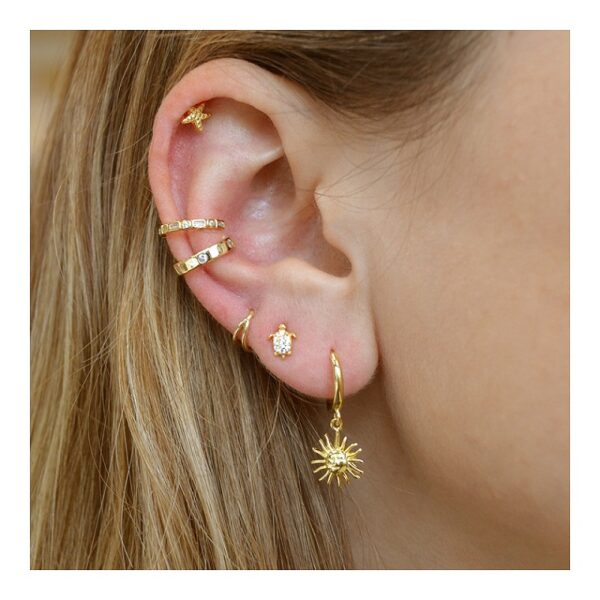 pendientes estrella iris imagen