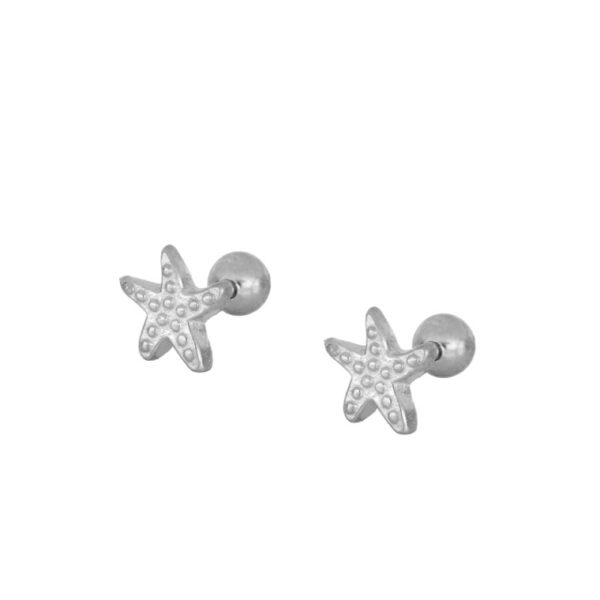 pendientes estrella iris plata