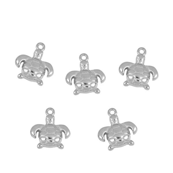 tortuga plata