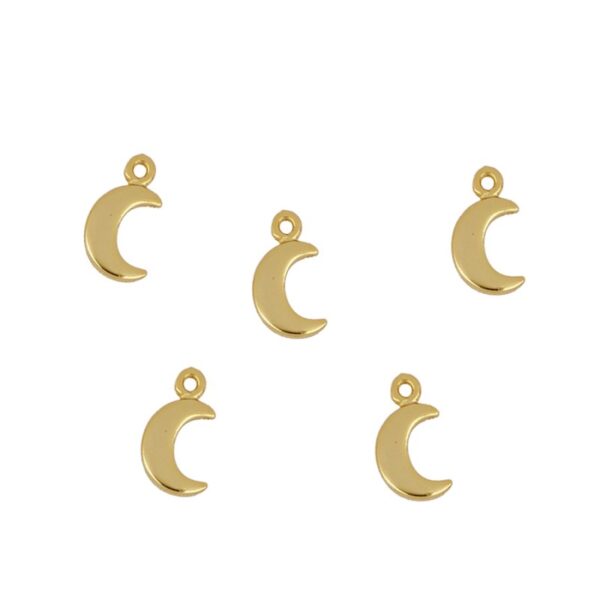charms luna lisa
