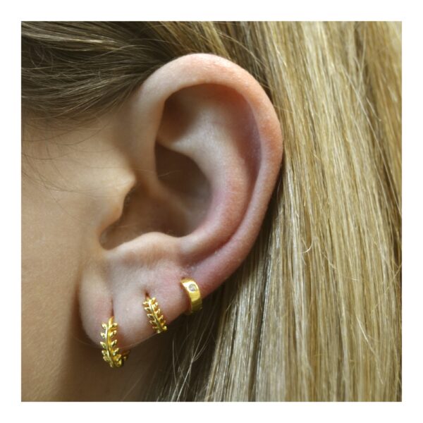 pendientes rama imagen