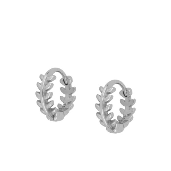 pendientes rama silver