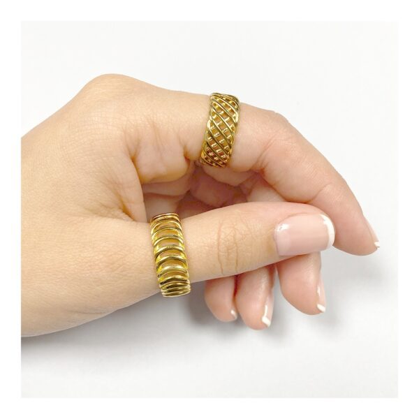 anillo diluns imagen