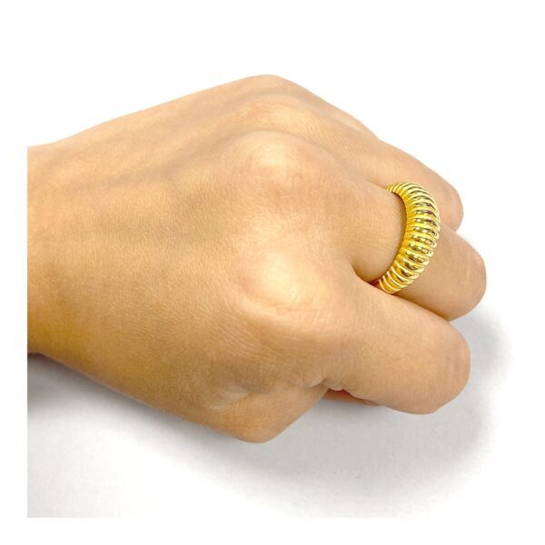 anillo luns imagen