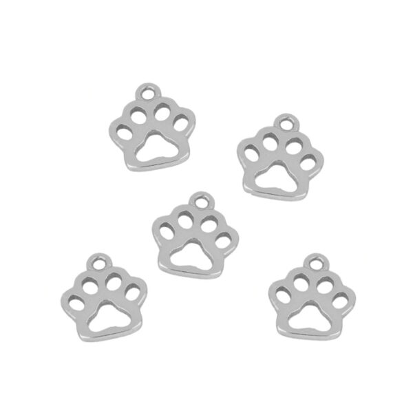 charms huella silver