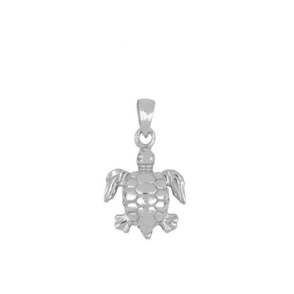 tortuga silver