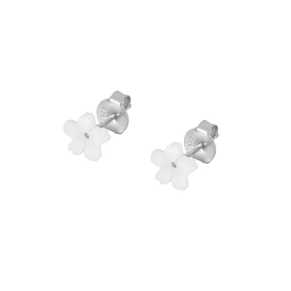 nacar mm silver