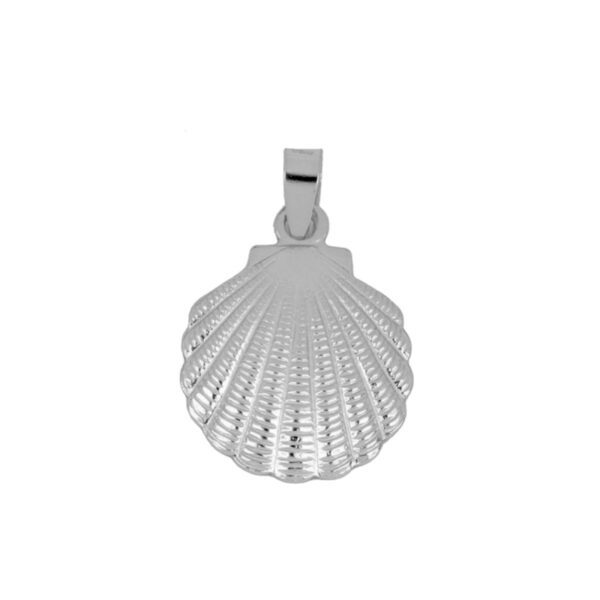concha silver
